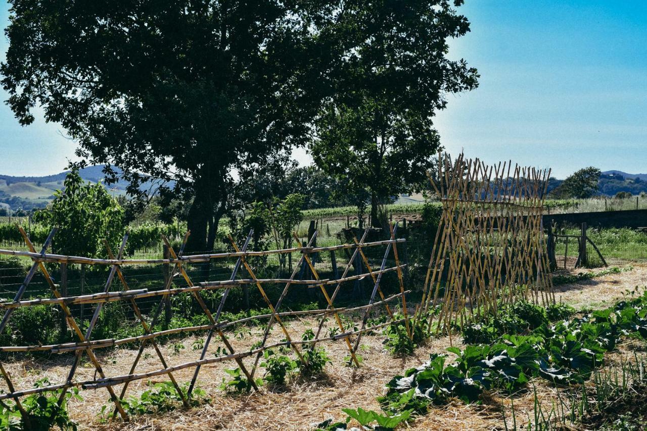 Agriturismo Vallerana Capalbio Dış mekan fotoğraf